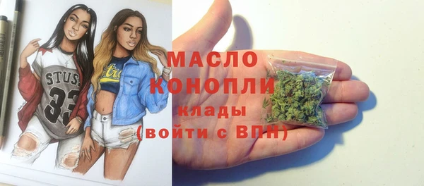 мет Бородино