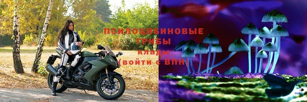 мет Бородино