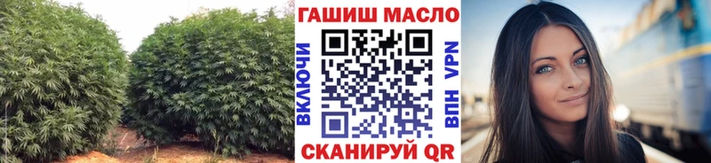 ТГК Wax  сколько стоит  Димитровград 